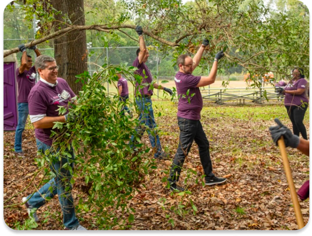 a group of Ally employees lifting tree branches and picking up leaves.